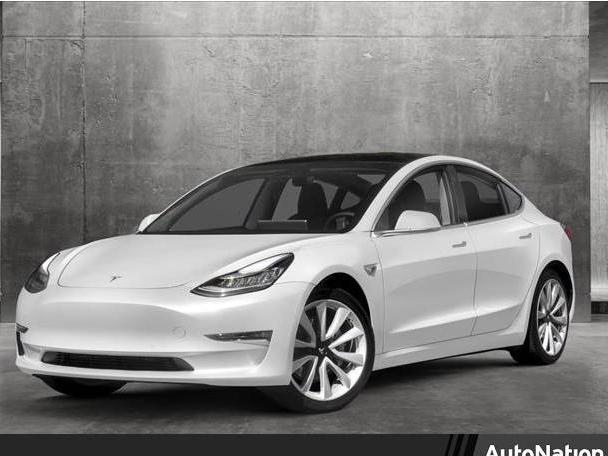 TESLA MODEL 3 2020 5YJ3E1EA4LF630454 image